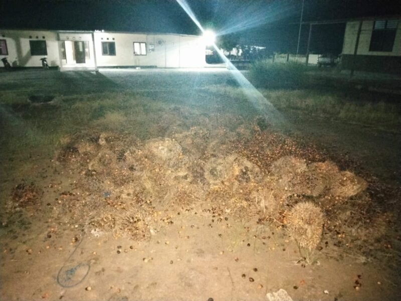 IMG 20251012 WA0004 e1760236116674