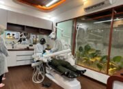 Sky Dental Resmi Dibuka, Hadirkan Layanan Gigi yang Aman, Nyaman, dan Terpercaya di Banjarbaru 29 Sky Dental Resmi Dibuka, Hadirkan Layanan Gigi yang Aman, Nyaman, dan Terpercaya di Banjarbaru