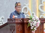 Penurunan Dan Transfer Pengaruhi Kemampuan Fiskal Daerah 8 Penurunan Dan Transfer Pengaruhi Kemampuan Fiskal Daerah