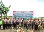 Polres HST Panen Raya Jagung Desa Awang