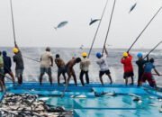 Kalsel Imbau Patuhi Zona Tangkap Ikan