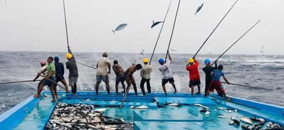 Ilustrasi Zona Iklan