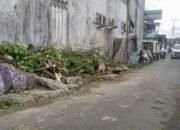 WhatsApp Image 2025 10 22 at 21.36.37