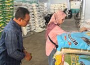 Polda Kalsel Bentuk Satgas Pengendalian Harga Beras, dari Hasil Evaluasi Tim Bapanas