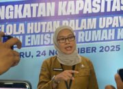 Kalsel Perkuat Pengelolaan Hutan