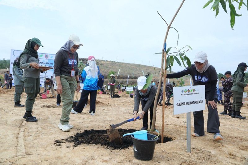 Implementasi Program RBP REDD+ Lewat Aksi Tanam Pohon 1 1 35 klm Penanaman