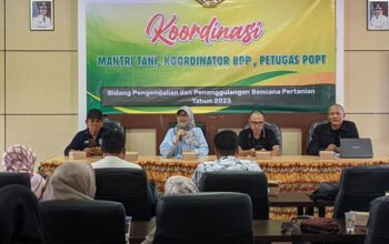 Pemkab Banjar Bentengi Petani Hadapi Perubahan Iklim 6 4 Martapura Perubahan iklim