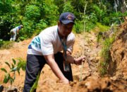 Ulang Tahun Ke-25, PLN Icon Plus Gelar ‘Iconergize’ TJSL Serentak di Seluruh Indonesia