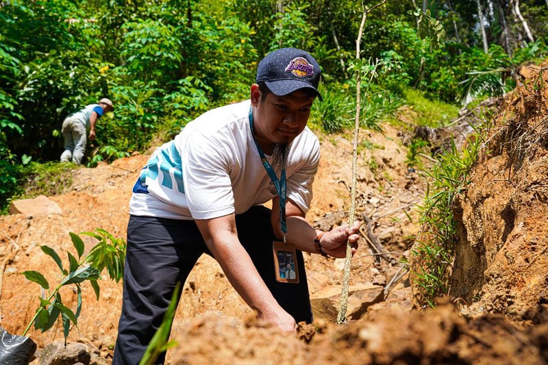 7 PLN Tanam Pohon 3klm