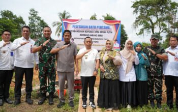 Hal 12 Tapin 35 klm 12