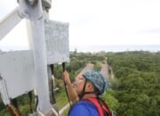 Berhasil Wujudkan Sinergi, XLSMART Raih Pertumbuhan Double Digit di Q3 2025