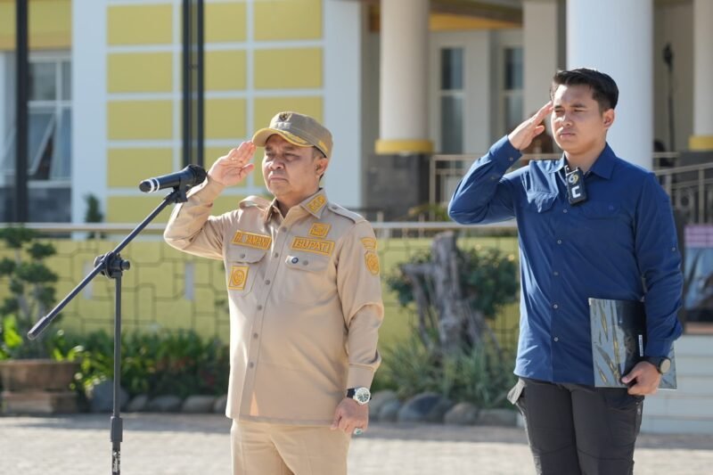 IMG 20251103 WA0040 scaled e1762155618294