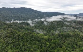 Bupati HST Ungkapkan Ketidaksesuaian Batas HST-Kotabaru Hambat Pembangunan dan Layanan Pendidikan 9 IMG 20251108 WA0024