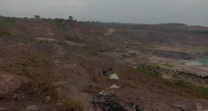 IMG 20251110 WA0018 e1762779372466