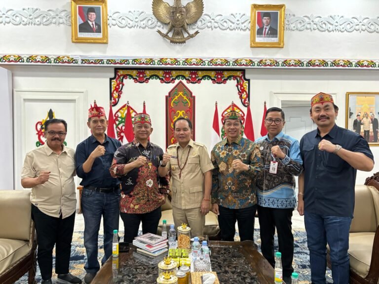 IMG 20251116 WA0010 1