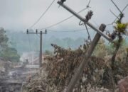 Tiga Orang Luka Berat dan 204 Hektare Lahan Rusak Akibat Erupsi Semeru