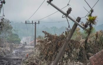 Tiga Orang Luka Berat dan 204 Hektare Lahan Rusak Akibat Erupsi Semeru 5 IMG 20251124 WA0037