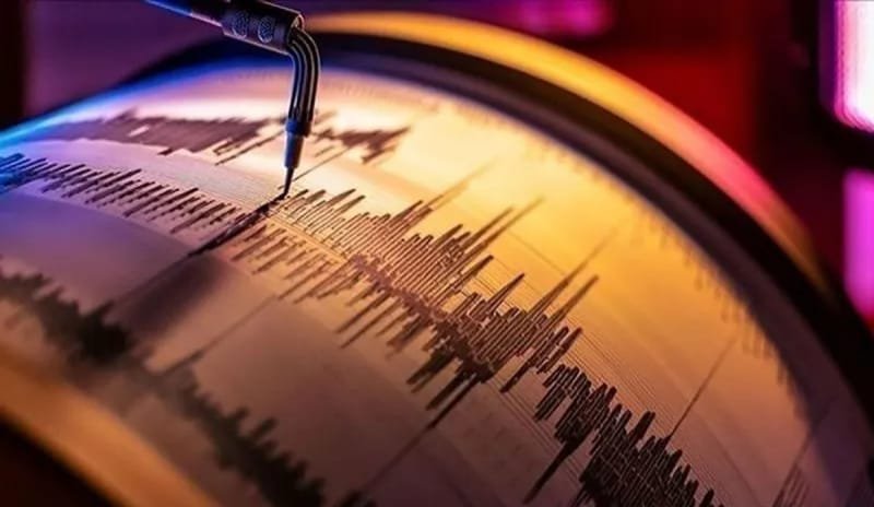 IMG 20251127 WA0014 1