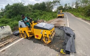 IMG 20251127 WA0040 1