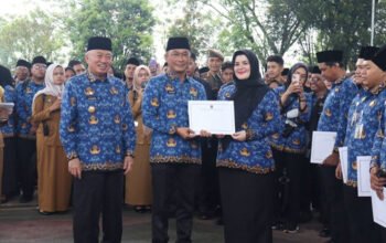 1 1 4 klm Ribuan PPPk23