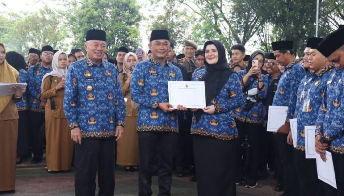 PPPK Paruh Waktu Pemprov Kalsel Terbesar di Indonesia