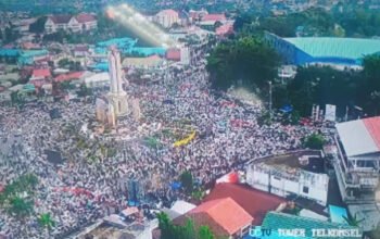 1 5 klm 8 cm utama haul a