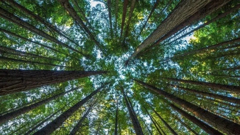 1 utama 7 klm 5 cm wal