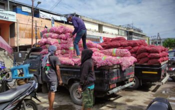7 HL Harga Bawang Merah Rp 60 Ribu per Kg 3klm