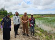 Banjar Pastikan Program Cetak Sawah Rakyat Berjalan Lancar