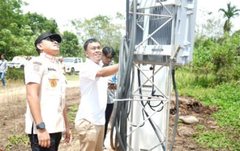 Hal 8 Lapsus Tala 1.1 25 klm