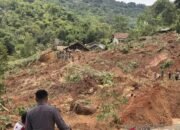 Tim SAR Cari Tiga Korban Tertimbun Longsor