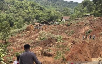 IMG 20251206 WA0020 1