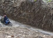 Saatnya Menata Ruang Berdasarkan Ilmu Tanah