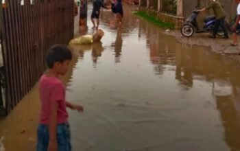 Banjir Susulan Landa Aceh Timur, Warga Kembali Mengungsi 5 IMG 20251207 WA0038