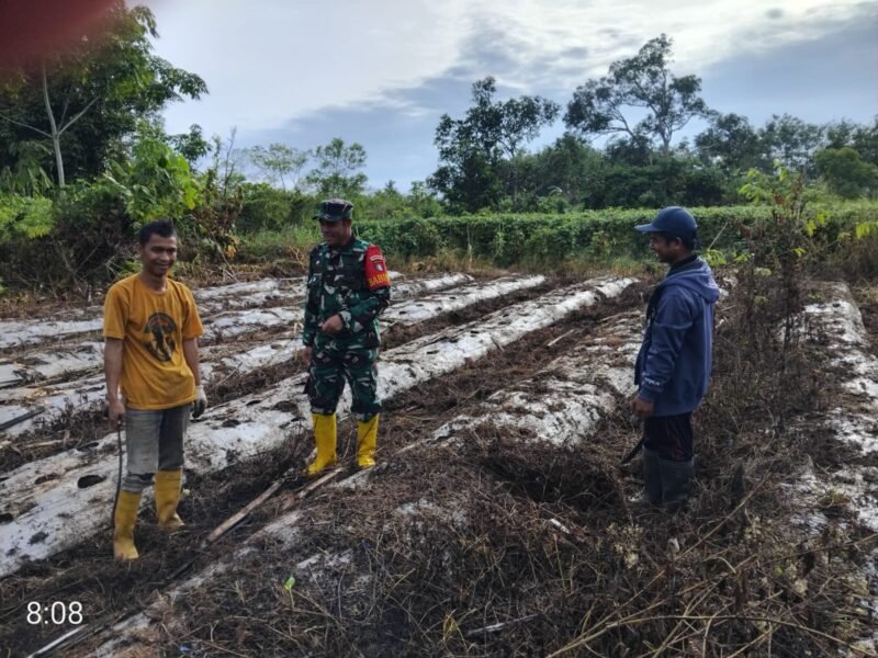 IMG 20251222 WA0039 e1766397231712