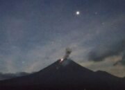 Semeru Erupsi Disertai Letusan Setinggi 900 Meter dan Suara Gemuruh