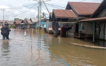 Dalam Sepekan, Handil Negara Kecamatan Bumi Makmur Tanah Laut Terkepung Banjir 4 IMG 20251230 WA0047