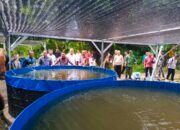 Bupati HST Ungkapkan Budidaya Perikanan Peluang Besar Peningkatan Ekonomi