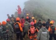 Korban Pesawat ATR Ditemukan Tim SAR di Jurang