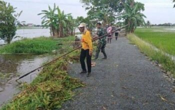 Hal 2 Tala 1 3 klm 6