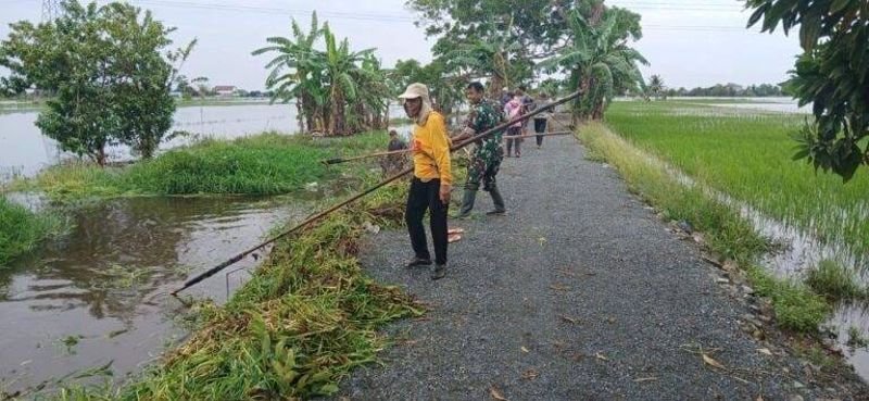 Hal 2 Tala 1 3 klm 6