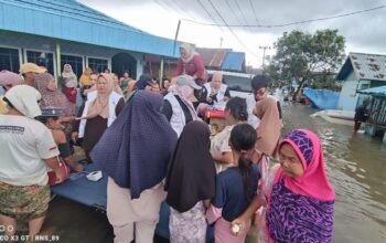 Dinkes Beri Pelayanan Kesehatan Warga Terdampak Banjir 4 Hal 4 3 KLm Martapura Layanan kesehatan