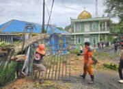 Atap Sekretariat PWI Kotabaru Tertimpa Pohon Tumbang