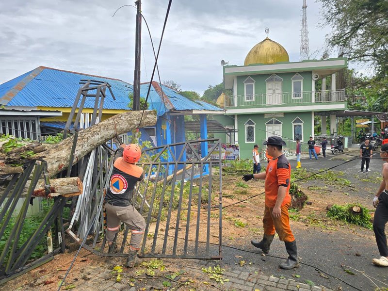 Atap Sekretariat PWI Kotabaru Tertimpa Pohon Tumbang 1 Hal 4 Kotabaru 1 3 klm