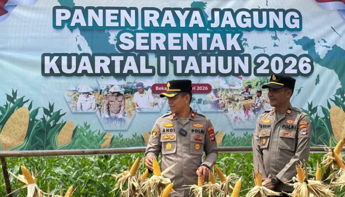Panen Raya Jagung Serentak Perdana 2026 di Desa Semisir