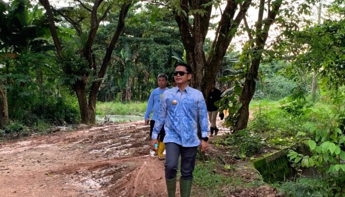 Sampah Tembus 491 Ton per Hari, Pemkot Banjarmasin Percepat Pemilahan dan Benahi TPA Basirih