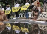 Menegaskan Batas Antara Kritik dan Ujaran Kebencian