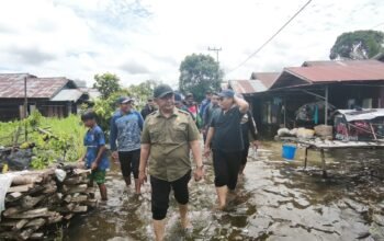 IMG 20260111 WA0030 1