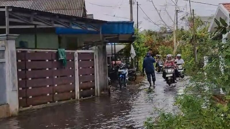 IMG 20260113 WA0030 e1768294483772