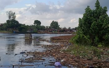 IMG 20260118 WA0025 1